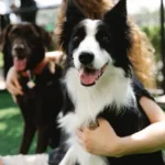 Rozwój dziecka, a rola zabawek